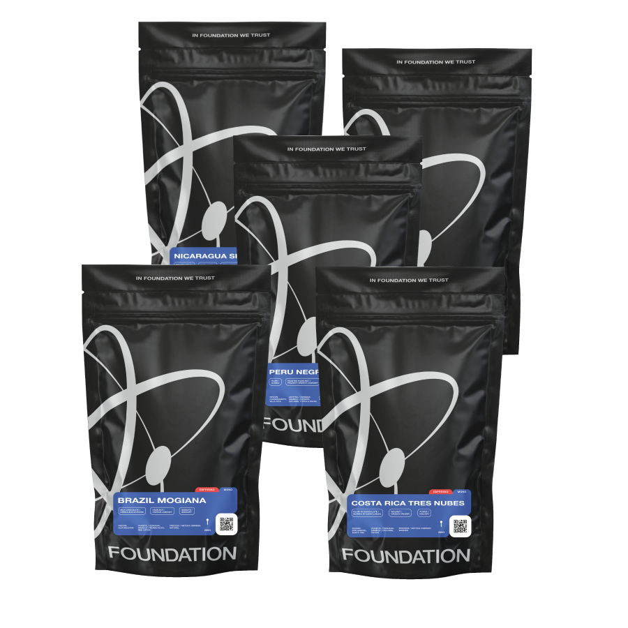Foundation Collection