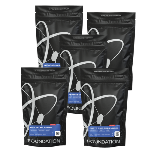 Foundation Collection