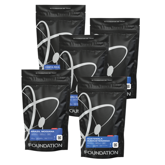 Colección Foundation